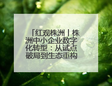 红观株洲丨株洲中小企业数字化转型：从试点破局到生态重构的进阶之路